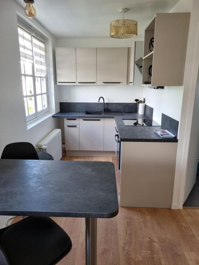 Location Saisonniere Appartement Situe A Сомюр Екстериор снимка