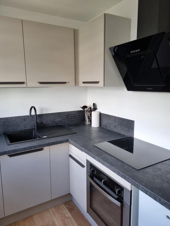 Location Saisonniere Appartement Situe A Сомюр Екстериор снимка